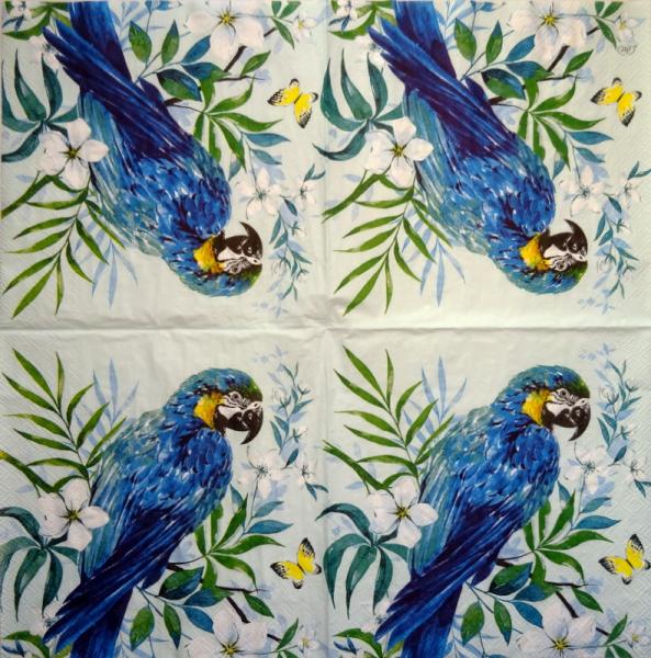 055 Parrot - 3-ply - Converting 2007 - Illustrateo Escapes